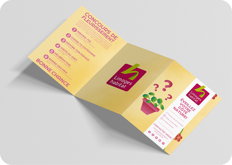 MOCKUP visuel limoges habitat