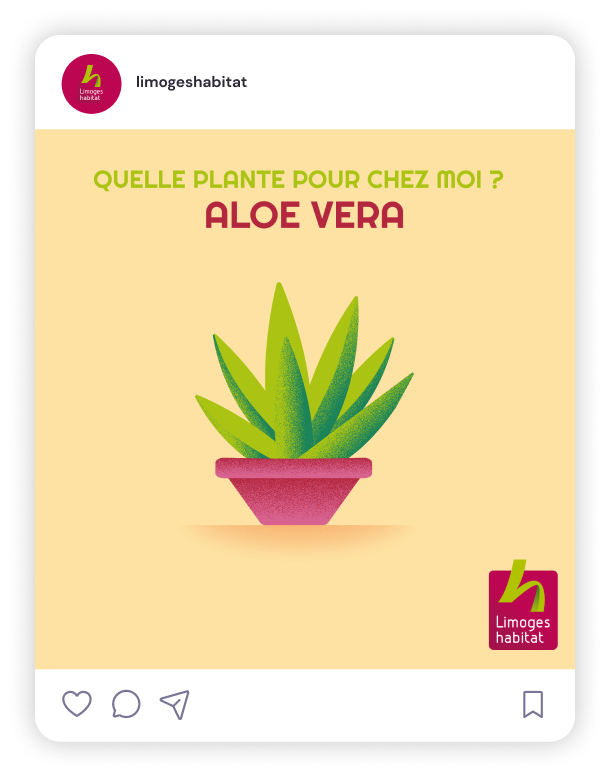 MOCKUP reseaux sociaux limoges habitat